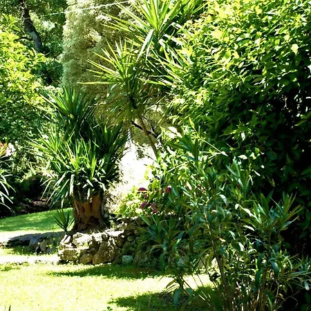 Il Cielo In Stanza Διαμέρισμα Itri